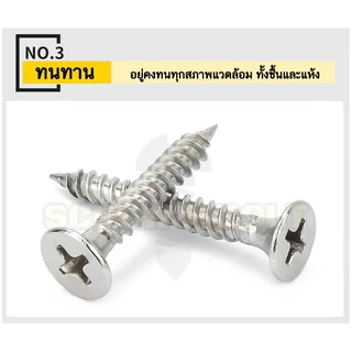 สกรู น็อต ยิงฝา ยึดไม้ผนัง ไดวอลล์ หัวแตร กันสนิม สแตนเลส 304 เกลียวปล่อย #6 (M3.5)