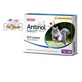 Antinol  For Cat 60 Cap ( อาหารเสริมบำรุงข้อสำหรับแมว 1กล่อง บรรจุ 60 เม็ด )