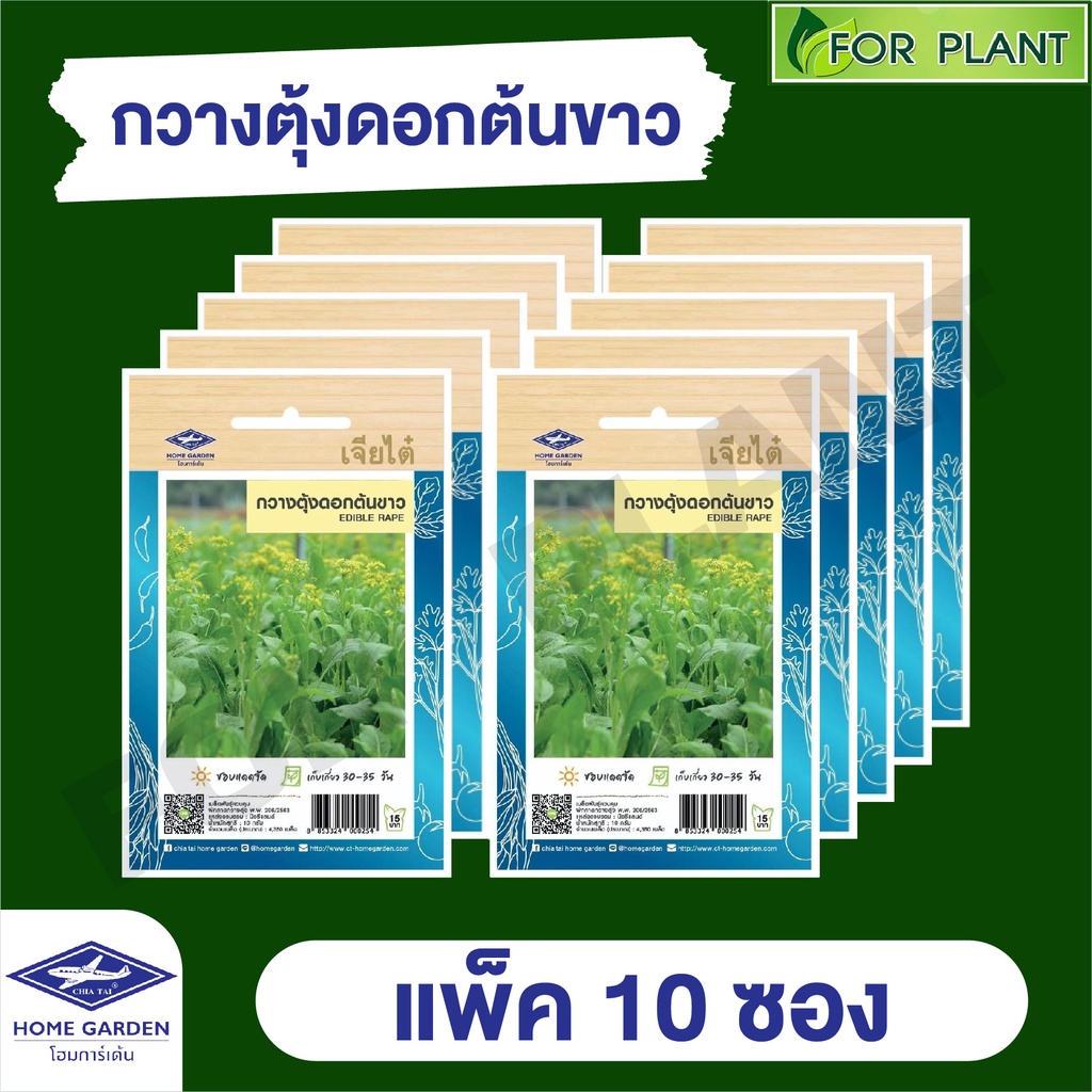 ขายส่ง เมล็ดพันธุ์ ผักซอง ยกแพค เจียไต๋ ราคาถูก บรรจุแพ็คละ 10 ซอง  CT15 {คละชนิดได้ กดใส่ตะกล้าไว้ก่อนยืนยันสั่งซื้้อ)