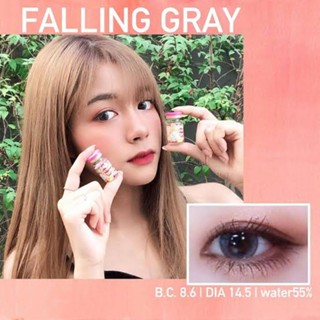 คอนแทคเลนส์ ธรรมชาติ รุ่น Mini Falling สีเทา/ตาล Gray/Brown มีค่าสายตาปกติ (0.00)-(-3.00)