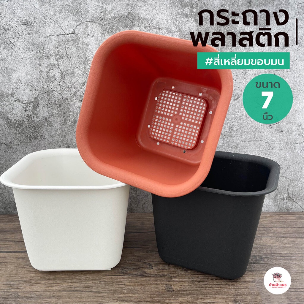 กระถาง 7 นิ้ว #สี่เหลี่ยมขอบมน กระถางพลาสติก แคคตัส กระบองเพชร ไม้อวบน้ำ Cactus&Succulent