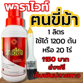 ฅนขี่ม้า พาราไวท์ ขนาด 1 ลิตร พาราไวท์อาหารเสริมยางพารา ปุ๋ยทาหน้ายาง ยาทาหน้ายาง