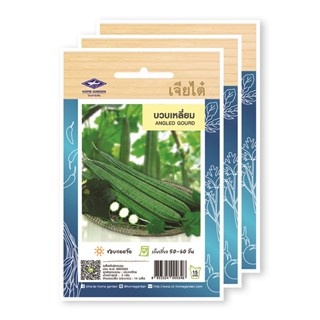 [ราคาพิเศษ] เจียไต๋ เมล็ดพันธุ์บวบเหลี่ยม แพ็ค 3 ซอง - Chia Tai Seed Ridge Gourd 1 Pack x 3 Unit