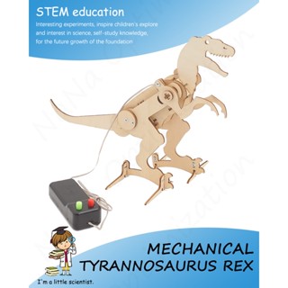 Stem ของเล่นเด็ก ☆ ของเล่นตัวต่อ โมเดลแฮนด์เมด DIY เพื่อการเรียนรู้เด็ก