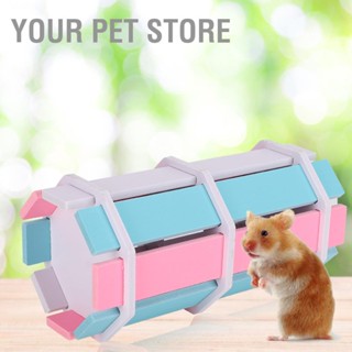 BYour Pet Store บ้านของเล่น ขนาดเล็ก สําหรับหนูแฮมสเตอร์ หนูตะเภา Diy