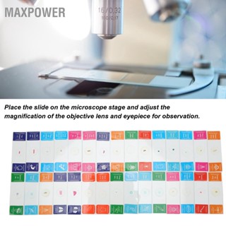 Maxpower สไลด์กล้องจุลทรรศน์ 30 ชิ้นพร้อมกล่องสไลด์ชีววิทยาที่เตรียมไว้สำหรับห้องปฏิบัติการ