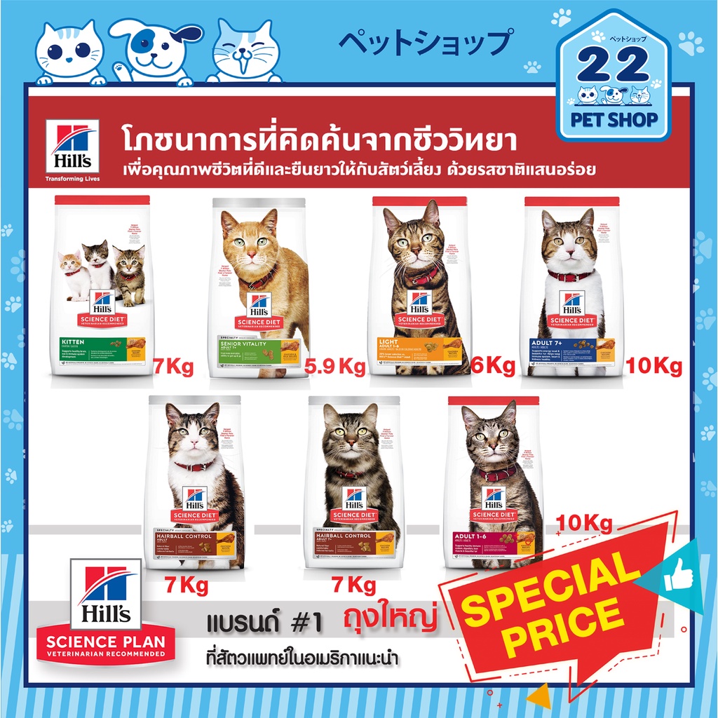Hill's Science Diet Cat ฮิลล์ อาหารลูกแมว แมวโต แมวสูงวัย ขนาดกระสอบ 5 - 10 kg.