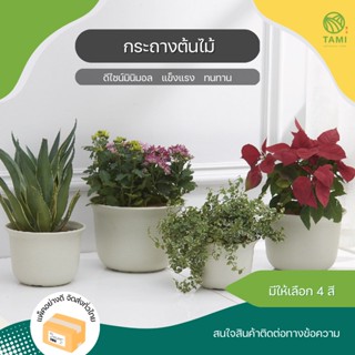 ชุดกระถางต้นไม้ ขอบหยัก Plant pot set มี 4 สี  ขนาด 3.5", 4.5", 5", 5.5", 6", 6.5", 7" กระถางต้นไม้ มินิมอล พลาสติก ทามิ