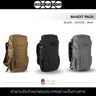 Eberlestock - Bandit Pack กระเป๋าเดินทาง สัมภาระ สะพายหลัง กระเป๋าเป้ เดินป่า ตั้งแคมป์ ความจุ 13ลิตร สายปรับได้