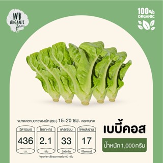 WB Organic Farm เบบี้คอส 1000 กรัม ผักสลัด มาตรฐานออร์แกนิค ปลอดสารพิษ 100%  เก็บใหม่ทุกออเดอร์ เก็บ-แพ็ค-ส่งตรงจากฟาร