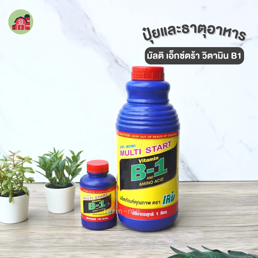 วิตามิน B1 บี1 วิตามิน สารจำเป็นสำหรับราก บำรุงราก 100ซีซี-1ลิตร