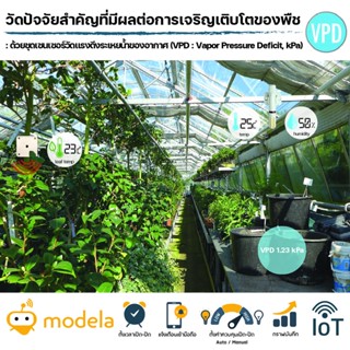 ชุดเซนเซอร์วัด VPD แรงดึงระเหยน้ำของอากาศ