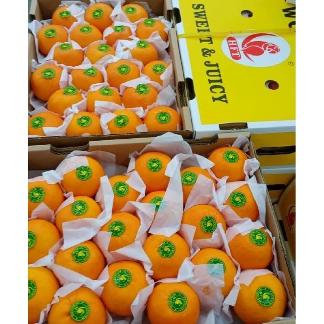 ส้มนกแก้ว🍊🍊🍊ฤดูกาลใหม่ SIZE M,L,XL = 1 Kg ราคาดี. เกรดพรีเมี่ยม