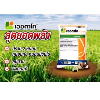 100กรัม เวอตาโก เวอตาโก ( 100 กรัม ) คลอแรนทรานิลิโพล + ไทอะมีท๊อกแซม จุดเด่น เวอตาโกสุดยอดพลัง ปราบหนอนห่อใบข้าว และ หนอนกอข้าว คุมนานแตกกอดี คุมนานกว่า 2 สัปดาห์