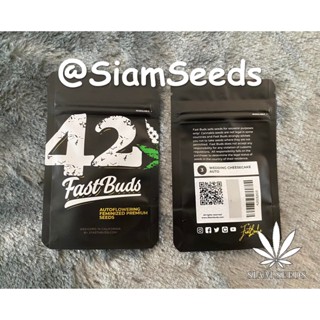 เมล็ดกัญชา Fastbuds Wedding Cheesecake Auto Cannabis Seeds (Pack of 3)