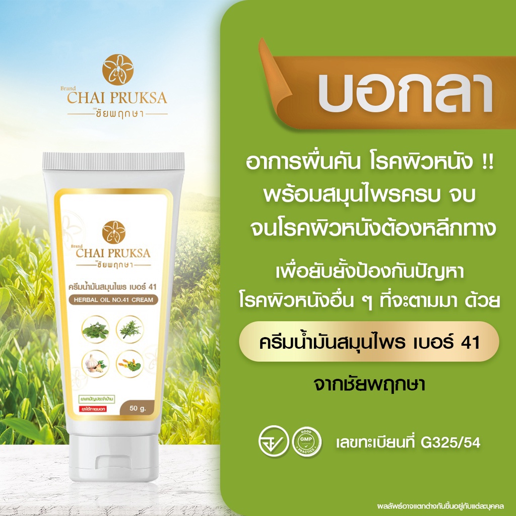 ขายดี ครีมน้ำมันสมุนไพร เบอร์ 41 จากชัยพฤกษา ปลอดภัย ไร้สารเคมี รักษาปัญหาผิวหนัง