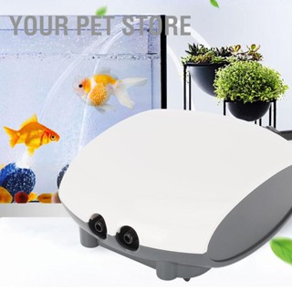 Your Pet Store ไส้ออกซิเจนปิดเสียง ขนาดเล็ก สําหรับตู้ปลา Cn 220V