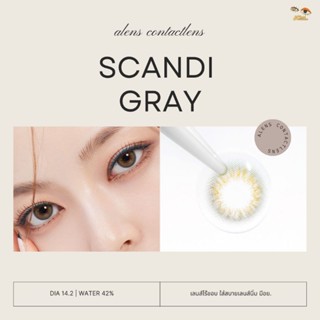 New✨️Scandi gray  | คอนแทคเลนส์รายเดือน