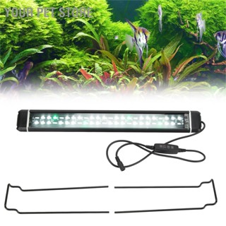 Your Pet Store Aquarium LED Lamp Waterproof Adjustable Length Fish Tank Light with Bracket for Fresh Water Tanks 100‑240V