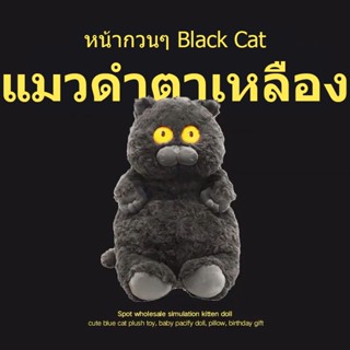 พร้อมส่ง แมวอ้วน ตุ๊กตา แมวดำ ตาเหลือง มาใหม่ล่าสุด ฮิตมาก หน้ากวนๆ Black Cat ตุ๊กตาตลกๆ