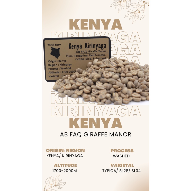 พร้อมส่ง เมล็ดกาแฟดิบ Kenya Kirinyaga Washed process/ เมล็ดกาแฟนอก/ เมล็ดกาแฟสารเคนย่า