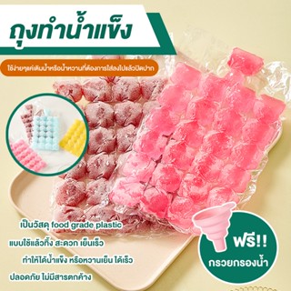 ถุงทำน้ำแข็ง แบบใช้แล้วทิ้ง ถุงแม่พิมพ์ทำน้ำแข็ง หวานเย็น 10 ชิ้น Ice bag(แพ็คละ 10 ใบ)