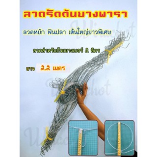 ลวดรัดต้นยางพารา ลวดหยักฟันปลา เบอร์ 13 เต็ม ยาว 2.2เมตร (แพ็ค50เส้น) วงลวด 7 นิ้วเส้นใหญ่ยาวแข็งแรงทนทานใช้ยาวนานหลายปี