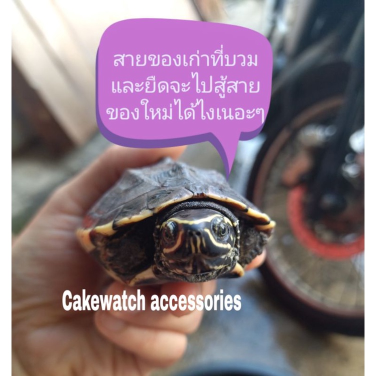 กรอบสาย DW5600 Dw5700 Gwx5600 Dw5035แท้100%ทั้งสายทั้งฟร้อนท์ ยักษ์เล็ก