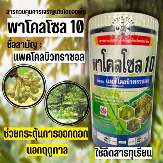 แพคโคลบิวทราซอล10% (ขนาด 1 กิโลกรัม) เป็นสารควบคุมการเจริญเติบโตของพืชช่วยกระตุ้นการออกดอก ทำให้ออกดอกได้เร็วขึ้นก่อนฤดู