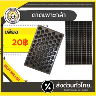 ถาดเพาะกล้า ถาดเพาะชำ ถาดเพาะเมล็ด หนา 0.6mm ขนาด 60-200 หลุม ถาดหลุม