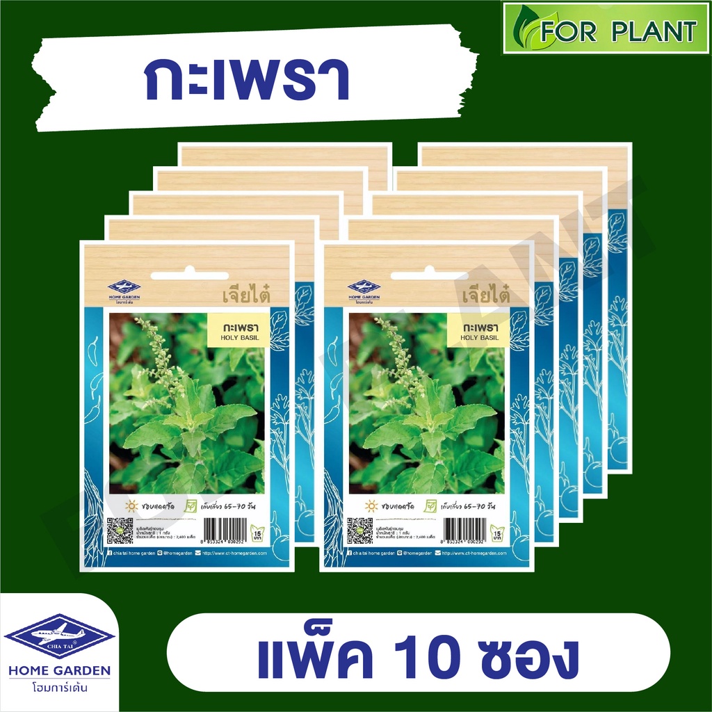 ขายส่ง เมล็ดพันธุ์ ผักซอง ยกแพค เจียไต๋ ราคาถูก บรรจุแพ็คละ 10 ซอง  CT15 {คละชนิดได้ กดใส่ตะกล้าไว้ก่อนยืนยันสั่งซื้้อ)