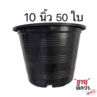 กระถาง 10 นิ้ว 50 ใบ