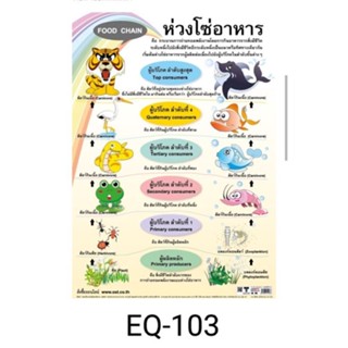 ห่วงโซ่อาหาร EQ 103 โปสเตอร์สื่อการสอนหุ้มพลาสติกขนาด 50 * 70 cm