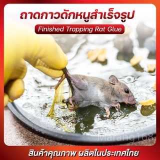 ขายดี !! กาวดักหนูวิทยาศาตร์ กาวดักหนูสำเร็จรูป 100G
