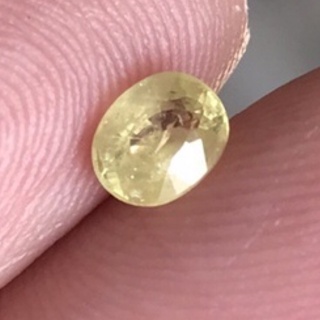 0.77ct พลอยบุษราคัม ดิบ แทนก้า Yellow Sapphire Unheated Tanga