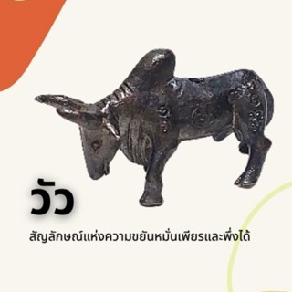 วัว สัญลักษณ์แห่งความขยันหมั่นเพียรและพึ่งได้