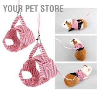 Your Pet Store เสื้อกั๊ก ขนาดเล็ก สําหรับสัตว์เลี้ยง กระรอก หนูตะเภา