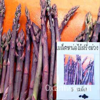 ผลิตภัณฑ์ใหม่ เมล็ดพันธุ์ หน่อไม้ฝรั่งสีม่วง5 เมล็ดเมล็ดพันธุ์หน่อไม้ฝรั่งสีม่วงสามเองอกง่าย โตไว☘️พุ่มใหญ่ทานอ /มะเขือ