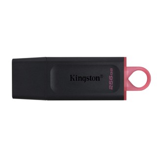 Kingston DataTraveler Exodia 256GB USB 3.2 Flash Drive DTX/256GB