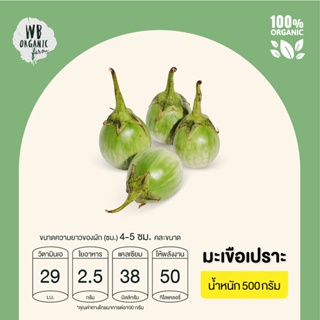 WB Organic Farm มะเขือเปราะ ผักสลัด ผักสด มาตรฐานออร์แกนิค IFOAM ปลอดสารพิษ 100%  เก็บใหม่ทุกออเดอร์ เก็บ-แพ็ค-ส่งตรงจาก