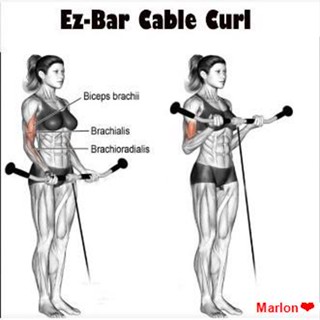 จัดส่งตรงจุดPRO-GRIP REVOLVING CURL BAR/CABLE BAR