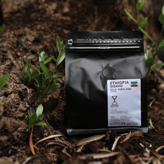 เมล็ดกาแฟบด คั่วกลาง  ETHIOPIA  Sidamo Guji (Natural) 250 กรัม