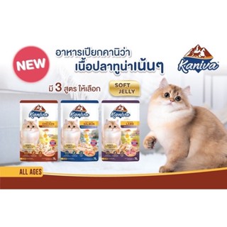 Kaniva Pouch อาหารแมว แบบเปียก คานิว่า ผสม Vitamin Balls ขนาด 70 กรัม (x12 ซอง)
