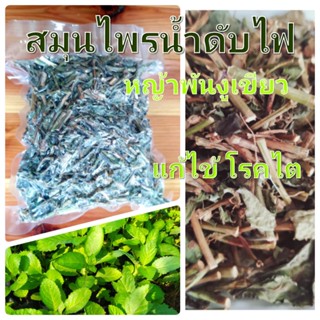 สมุนไพร หญ้าน้ำดับไฟ หญ้าพันงูเขียว 100 กรัม อบแห้ง brazilian tea