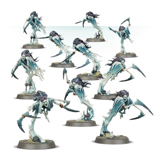 Warhammer AOS : Nighthaunt : Dreadscythe Harridans x5