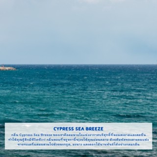 หัวน้ำหอม กลิ่นลมทะเลไซเปรส (Cypress sea breeze Fragrance Oil) หัวน้ำหอมทำเทียนหอม