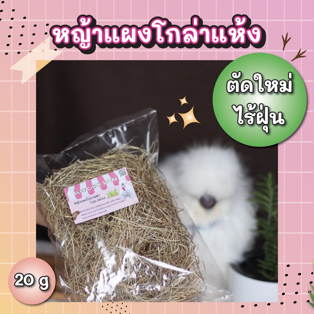 หญ้าแพงโกล่าแห้งสำหรับสัตว์เลี้ยง