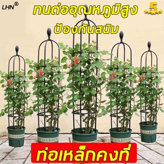 🥀ทนทาน 🥀LHN โครงกุหลาบ เหล็กแข็งแรง กันสนิม ท่อเหล็กเคลือบ PE ซุ้มกุหลาบ โครงกุหลาบเลื้อย ซุ้มไม้เลื้อย