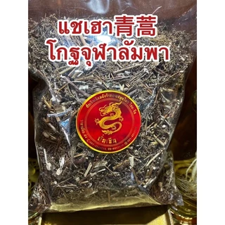 แชเฮา青蒿 โกฐจุฬาลัมพา ชิงเฮา แชเฮา สมุนไพรโกฏจุฬารำพา โกฐจุฬารำพา