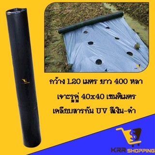 พลาสติกคลุมดิน พลาสติกเงินดำ 1.2ม.x400หลา(360ม) เจาะรูคู่ 40 ซม. พลาสติกคลุมแปลง พลาสติกกันวัชพืช กันวัชพืช ปลูกผัก ปลูก